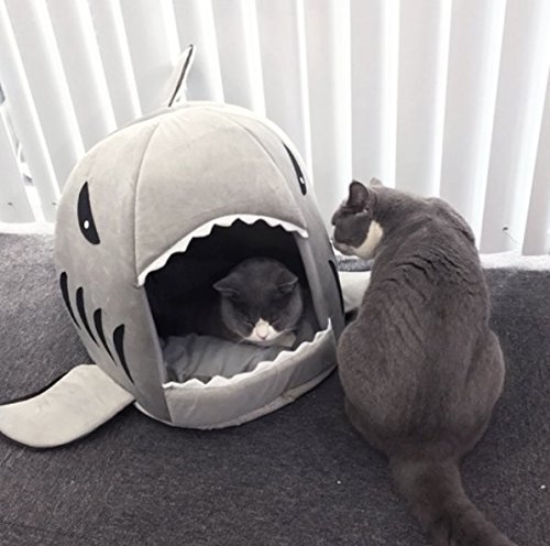 BADASS SHARKS 2-in-1 Haustierbett für Hunde und Katzen, Hai-Design, mit Polsterkissen, Grau BADASS SHARKS 2-in-1 Haustierbett für Hunde und Katzen, Hai-Design, mit Polsterkissen, Grau von BADASS SHARKS
