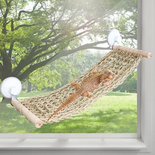 FlidRunest 54,9 x 19,8 cm Seegras Bartdrache Hängematte für Fenster, große Eidechse Fensterstange, Reptilien-Hängematte Sitzstange mit leistungsstarken Saugnäpfen für Eidechse, Leopard Gecko FlidRunest 54,9 x 19,8 cm Seegras Bartdrache Hängematte für Fenster, große Eidechse Fensterstange, Reptilien-Hängematte Sitzstange mit leistungsstarken Saugnäpfen für Eidechse, Leopard Gecko von BADWALT