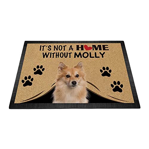 BAGEYOU Fußmatte mit Aufschrift "It's Not a Home Without Dog", Pomeranian Motiv, personalisierbar, lustige Pfotenabdruck-Dekoration, Willkommens-Teppich, 90 x 60 cm von BAGEYOU