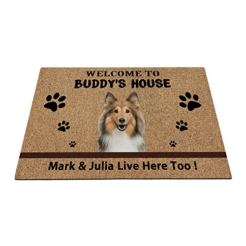 BAGEYOU Fußmatte mit Aufschrift "Welcome To Dog's House", Motiv: Shetland Sheepdog, lustige Haustierpfoten-Fußmatte, Heimdekoration, 90 x 60 cm von BAGEYOU
