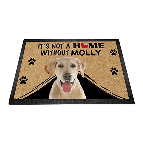 BAGEYOU Fußmatte mit niedlichem Labrador-Motiv, personalisierbar, Aufschrift "It's Not a Home Without Dog", Fußmatte, Dekoration, Teppich, 60 x 40 cm von BAGEYOU