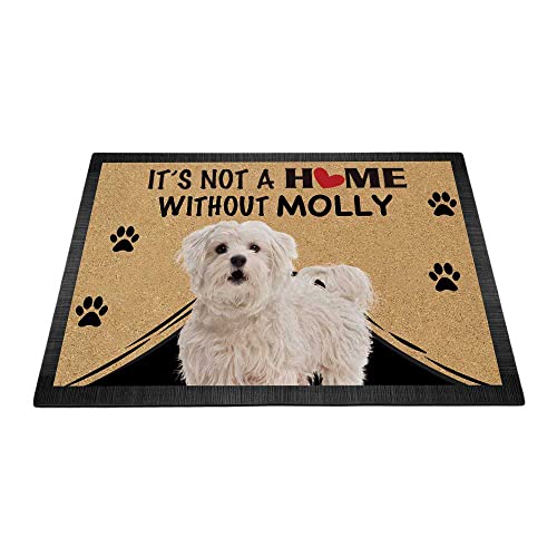 BAGEYOU Fußmatte mit niedlichem Malteser-Pudel-Motiv, personalisierbar, Aufschrift "It's Not a Home without Dog", Fußmatte, Dekoration, Teppich, 90 x 60 cm von BAGEYOU