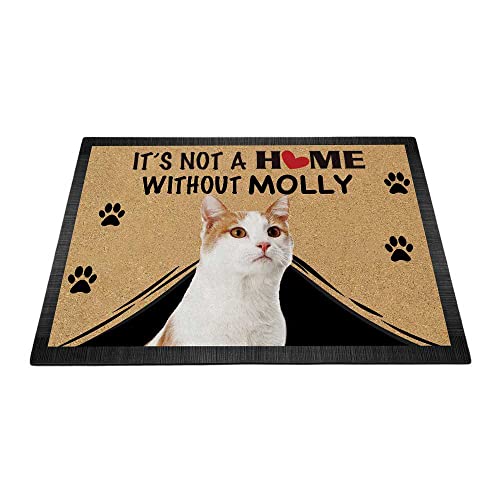 BAGEYOU Fußmatte mit niedlicher Katze, personalisierbar, Aufschrift "It's Not a Home without Cat", Willkommensboden, Dekoration, Teppich, 69,8 x 45 cm von BAGEYOU
