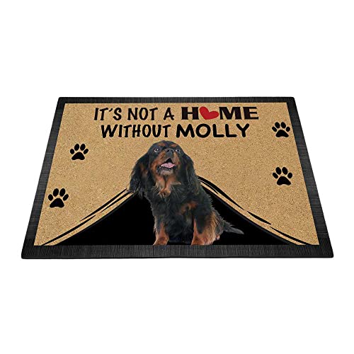 BAGEYOU Personalisierte Cavalier King Charles Dog Fußmatte "It's Not a Home Without Dog Welcome" Bodenmatte Dekoration Teppich 90 x 60 cm von BAGEYOU