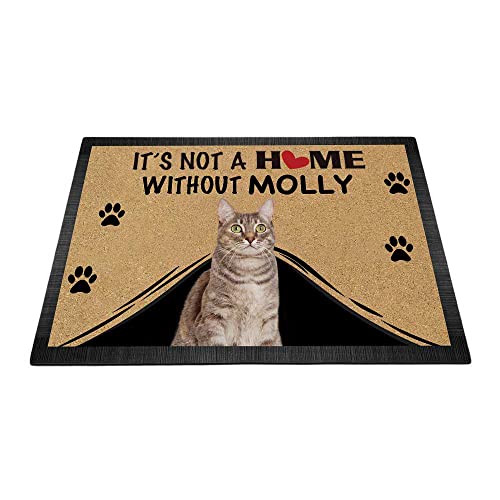 BAGEYOU Personalisierte Fußmatte mit Katzenmotiv "It's Not a Home Without Cat", Willkommens-Bodenmatte, Dekoration, Teppich, 60 x 40 cm von BAGEYOU