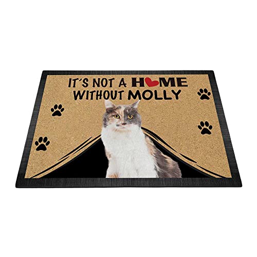 BAGEYOU Personalisierte Fußmatte mit Katzenmotiv "It's Not a Home Without Cat Welcome", dekorativer Teppich, 69,8 x 45 cm von BAGEYOU