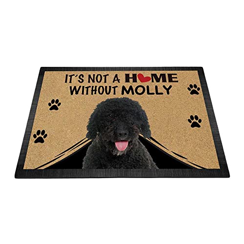 BAGEYOU Personalisierte Fußmatte mit spanischem Wasserhund, Aufschrift "It's Not a Home without Dog", Fußmatte, Dekoration, Teppich, 60 x 40 cm von BAGEYOU