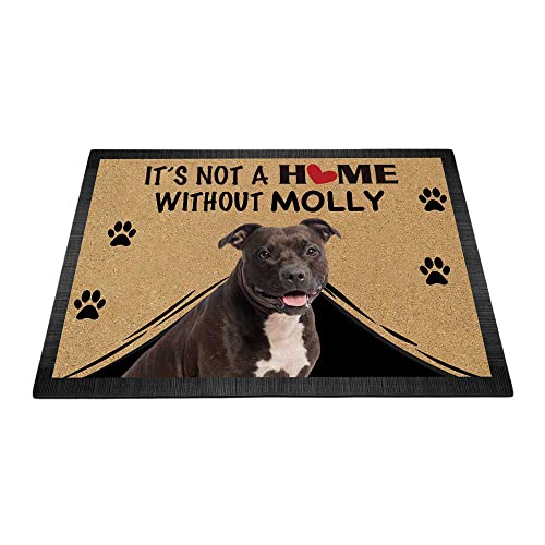 BAGEYOU Personalisierte niedliche Pitbull Dog Fußmatte "It's Not a Home Without Dog Welcome" Bodenmatte Dekoration Teppich 69,8 x 45 cm von BAGEYOU