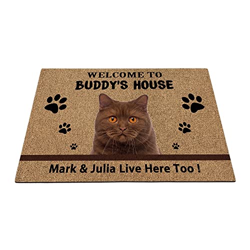Britische Kurzhaar-Katze Willkommens-Fußmatte, niedliche Haustierpfoten-Fußmatte, Heimdekoration, Willkommen im Hundehaus, 59,9 x 39,9 cm von BAGEYOU