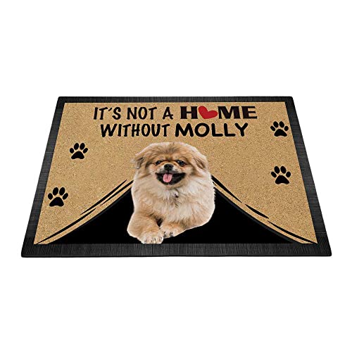 Fußmatte mit Pekingese-Motiv, Aufschrift "It's Not a Home Without Dog", 69,8 x 45 cm von BAGEYOU