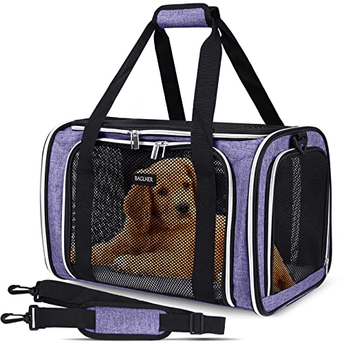 BAGLHER Pet Travel Carrier, Cat Carriers Dog Carrier for Small Medium Cats Dogs Puppies, Airline Approved Small Dog Carrier Soft Sided, Collapsible Puppy Carrier, Purple von BAGLHER