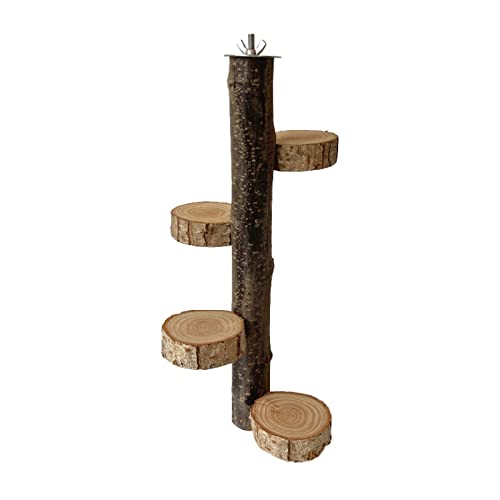 Tragbare Pet Papagei Training Stand Papageien Vogel Training Stand Vogel Käfig Barsch Spielplatz Mit Rotierenden Plattform Spielzeug Tragbare Pet Papagei Training Stand Papageien Vogel Training Stand Vogel Käfig Barsch Spielplatz Mit Rotierenden Plattform Spielzeug von BAHJKASD
