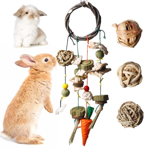 BAIFULAI Kaninchen Spielzeug Beschäftigung Kauspielzeug, Hasen zubehör mit Wassergras, Maisseil, Kürbisgras Kaubälle, Kleintiere Molar Zahnpflege für Hamster Meerschweinchen Papagei von BAIFULAI