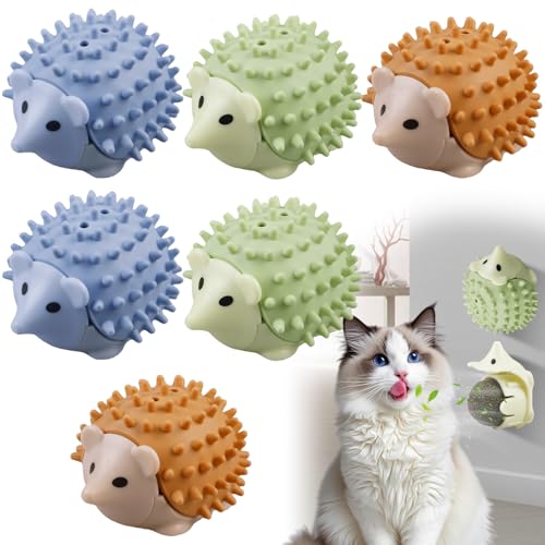 BAIFULAI Katzenminze Ball, 6pcs Katzenminze Spielzeug, Catnip Ball, Katzenminze Wandroller für Katzenlecken, Zahnreinigung Dentales essbares Kätzchenspielzeug mit Aufbewahrungsdeckel(Igel-Typ) von BAIFULAI