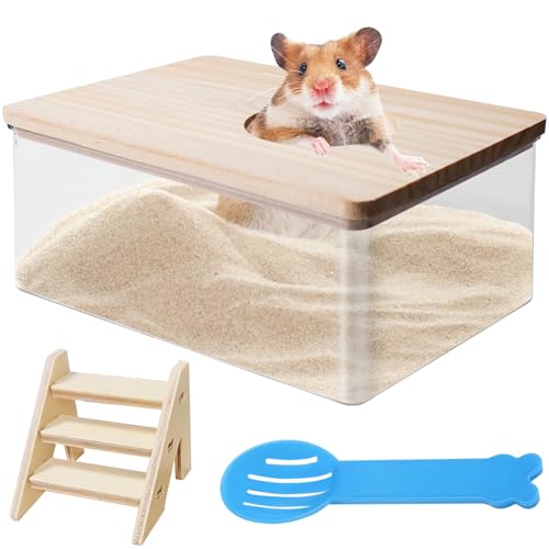 Hamster Sandbad, Haustier Hamster Badezimmer mit Leiter und Schaufel, Hamster-Sandbad-Container Transparent Sandbad Badewanne für Hamster Mäuse Lemming Rennmäuse von BAIFULAI
