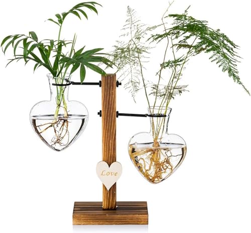 BAKAMITAYI Glas-Pflanzen-Terrarium mit Holzständer, kreative Doppelherz-Glasvasen für Desktop-Pflanzgefäß, Knospe, Hydrokulturpflanze, Zuhause, Garten, Büro, Dekoration (B) von BAKAMITAYI