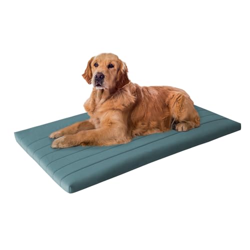 BALANCE Comfort Plus Hundebett, orthopädische Hundebettunterlage mit wasserdichtem Futter, waschbare Schaumstoff-Haustiermatte für große und mittelgroße Welpen, Puderblau, 121,9 x 76,2 x 5,1 cm BALANCE Comfort Plus Hundebett, orthopädische Hundebettunterlage mit wasserdichtem Futter, waschbare Schaumstoff-Haustiermatte für große und mittelgroße Welpen, Puderblau, 121,9 x 76,2 x 5,1 cm von BALANCE