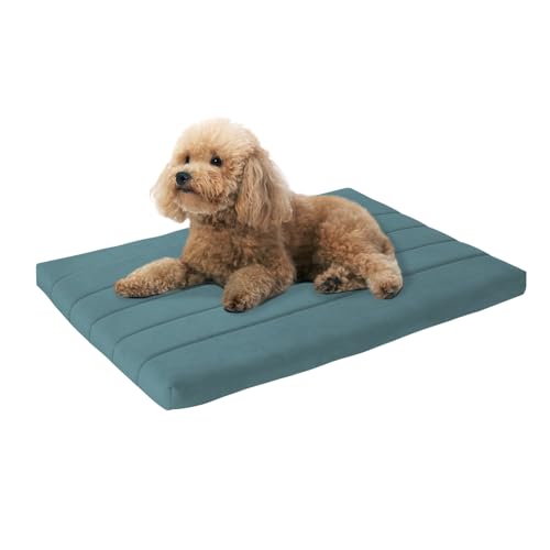 BALANCE Comfort Plus Hundebett, orthopädische Hundebettunterlage mit wasserdichtem Futter, waschbare Schaumstoffmatte für große und mittelgroße Welpen, Puderblau, 76,2 x 48,3 x 4,1 cm von BALANCE