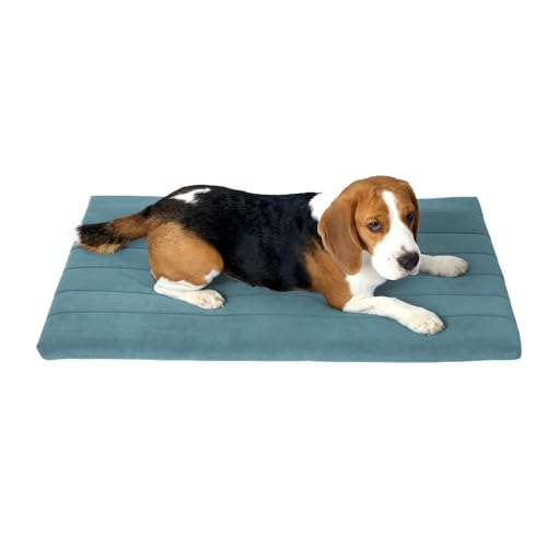BALANCE Comfort Plus Hundebett, orthopädische Hundebettunterlage mit wasserdichtem Futter, waschbarer Schaumstoff-Haustiermatte für große und mittelgroße Welpen, Puderblau, 91,4 x 58,4 x 4,1 cm BALANCE Comfort Plus Hundebett, orthopädische Hundebettunterlage mit wasserdichtem Futter, waschbarer Schaumstoff-Haustiermatte für große und mittelgroße Welpen, Puderblau, 91,4 x 58,4 x 4,1 cm von BALANCE