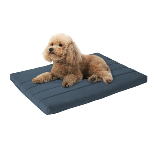 BALANCE Comfort Plus Periskop-Hundebett, orthopädische Hundebettunterlage mit wasserdichtem Futter, waschbare Schaumstoff-Haustiermatte für große und mittelgroße Welpen-Hunderassen, 76,2 x 48,3 x 4,1 BALANCE Comfort Plus Periskop-Hundebett, orthopädische Hundebettunterlage mit wasserdichtem Futter, waschbare Schaumstoff-Haustiermatte für große und mittelgroße Welpen-Hunderassen, 76,2 x 48,3 x 4,1 von BALANCE