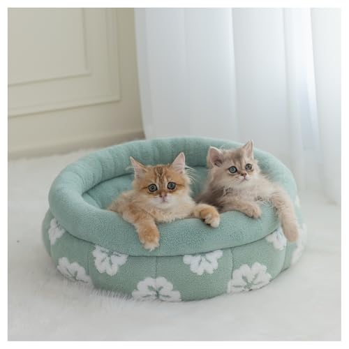 BALANCE Katzenbetten für Hauskatzen, waschbares, rundes Katzenbett, niedliches 3D-Blumen-Kätzchenbett mit rutschfester Unterseite für Welpen und Kätzchen, 50,8 cm, Grün BALANCE Katzenbetten für Hauskatzen, waschbares, rundes Katzenbett, niedliches 3D-Blumen-Kätzchenbett mit rutschfester Unterseite für Welpen und Kätzchen, 50,8 cm, Grün von BALANCE