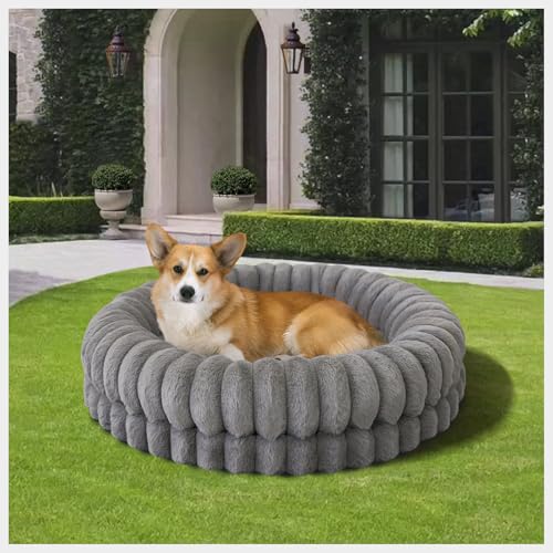 BALANCE Luxuriöses Donut-Hundebett, 76,2 cm, rund, mittelgroß, waschbar, Eierkisten-Schaumstoff, beruhigendes Hundebett für Haustiere mit rutschfester Unterseite, Grau BALANCE Luxuriöses Donut-Hundebett, 76,2 cm, rund, mittelgroß, waschbar, Eierkisten-Schaumstoff, beruhigendes Hundebett für Haustiere mit rutschfester Unterseite, Grau von BALANCE
