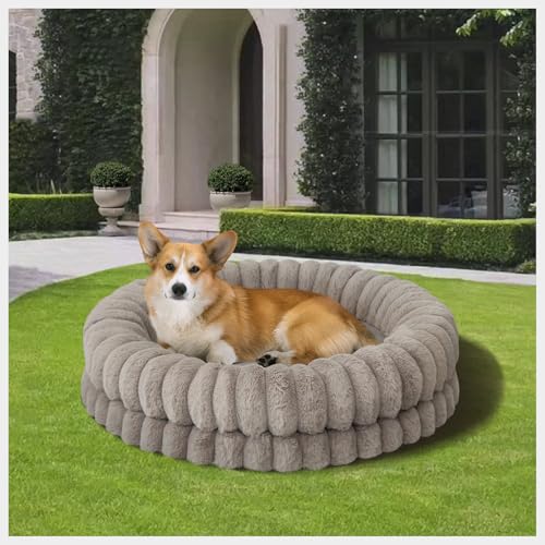 BALANCE Luxuriöses Donut-Hundebett, 76,2 cm, rund, mittelgroß, waschbar, orthopädisch, beruhigendes Hundebett für Haustiere mit rutschfester Unterseite, Haferflocken BALANCE Luxuriöses Donut-Hundebett, 76,2 cm, rund, mittelgroß, waschbar, orthopädisch, beruhigendes Hundebett für Haustiere mit rutschfester Unterseite, Haferflocken von BALANCE