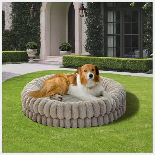 BALANCE Luxuriöses Donut-Hundebett, 91,4 cm, rund, groß, waschbar, Eierkisten-Schaumstoff, beruhigendes Hundebett für Haustiere bis zu 45,4 kg, mit rutschfester Unterseite, Haferflocken BALANCE Luxuriöses Donut-Hundebett, 91,4 cm, rund, groß, waschbar, Eierkisten-Schaumstoff, beruhigendes Hundebett für Haustiere bis zu 45,4 kg, mit rutschfester Unterseite, Haferflocken von BALANCE