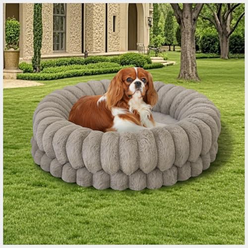 BALANCE Luxuriöses Donut-Hundebett, rund, für kleine Hunde, waschbar, Eierkisten-Schaumstoff, beruhigendes Haustierbett für Welpen und Katzen bis zu 11,3 kg, mit rutschfester Unterseite, Haferflocken BALANCE Luxuriöses Donut-Hundebett, rund, für kleine Hunde, waschbar, Eierkisten-Schaumstoff, beruhigendes Haustierbett für Welpen und Katzen bis zu 11,3 kg, mit rutschfester Unterseite, Haferflocken von BALANCE