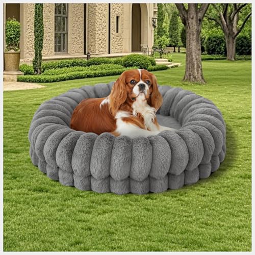 BALANCE Luxuriöses Donut-Hundebett, rund, für kleine Hunde, waschbar, orthopädisches, beruhigendes Haustierbett für Welpen und Katzen, mit rutschfester Unterseite, Grau BALANCE Luxuriöses Donut-Hundebett, rund, für kleine Hunde, waschbar, orthopädisches, beruhigendes Haustierbett für Welpen und Katzen, mit rutschfester Unterseite, Grau von BALANCE