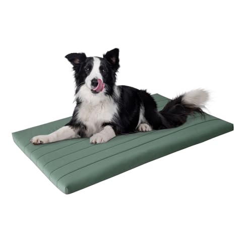 BALANCE Orthopädisches Hundebett mit wasserdichtem Futter, waschbare Schaumstoffmatte für große, mittelgroße Welpen-Hunderassen, Minzblatt, 106,7 x 71,1 x 5,1 cm von BALANCE