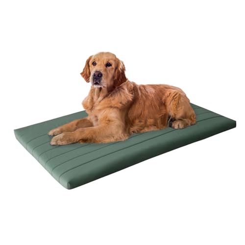 BALANCE Orthopädisches Hundebett mit wasserdichtem Futter, waschbare Schaumstoffmatte für große, mittelgroße Welpen-Hunderassen, Minzblatt, 121,9 x 76,2 x 5,1 cm von BALANCE