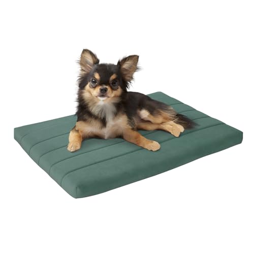 BALANCE Orthopädisches Hundebett mit wasserdichtem Futter, waschbare Schaumstoffmatte für große, mittelgroße Welpen-Hunderassen, Minzblatt, 61 x 45,7 x 4,1 cm BALANCE Orthopädisches Hundebett mit wasserdichtem Futter, waschbare Schaumstoffmatte für große, mittelgroße Welpen-Hunderassen, Minzblatt, 61 x 45,7 x 4,1 cm von BALANCE