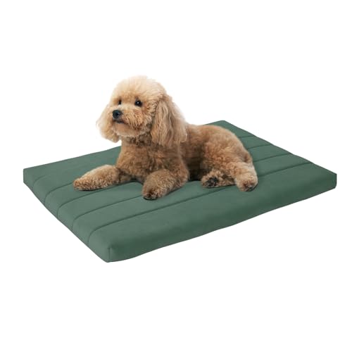 BALANCE Orthopädisches Hundebett mit wasserdichtem Futter, waschbare Schaumstoffmatte für große, mittelgroße Welpen-Hunderassen, Minzblatt, 76,2 x 48,3 x 4,1 cm von BALANCE