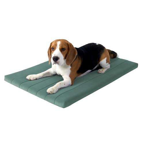 BALANCE Orthopädisches Hundebett mit wasserdichtem Futter, waschbare Schaumstoffmatte für große, mittelgroße Welpen-Hunderassen, Minzblatt, 91,4 x 58,4 x 4,1 cm BALANCE Orthopädisches Hundebett mit wasserdichtem Futter, waschbare Schaumstoffmatte für große, mittelgroße Welpen-Hunderassen, Minzblatt, 91,4 x 58,4 x 4,1 cm von BALANCE