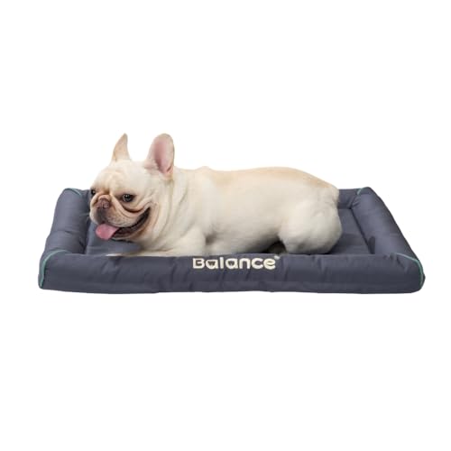 BALANCE Oxford 1680D Hundebett für Metall-Hundekäfige, wasserdichte Hundebox-Pad, wasserabweisend, Allwetter-Haustiermatte, langlebig, leicht abwischbar, für Reisen, drinnen und draußen, Welpenbett, BALANCE Oxford 1680D Hundebett für Metall-Hundekäfige, wasserdichte Hundebox-Pad, wasserabweisend, Allwetter-Haustiermatte, langlebig, leicht abwischbar, für Reisen, drinnen und draußen, Welpenbett, von BALANCE