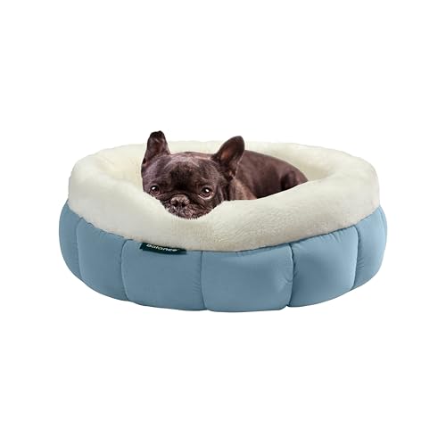 BALANCE Rundes Katzenbett, Donut-Design, für kleine Hunde, beruhigendes Haustierbett, Blau, Größe S BALANCE Rundes Katzenbett, Donut-Design, für kleine Hunde, beruhigendes Haustierbett, Blau, Größe S von BALANCE