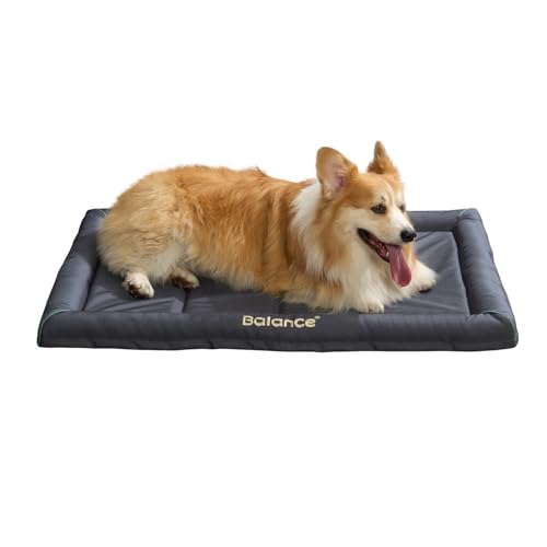 BALANCE Strapazierfähiges Oxford-Hundebett für extra große Hunde, wasserdichte Hundeboxenunterlage, Outdoor, XL, abwischbar und leicht abzuspülen, 106,7 cm BALANCE Strapazierfähiges Oxford-Hundebett für extra große Hunde, wasserdichte Hundeboxenunterlage, Outdoor, XL, abwischbar und leicht abzuspülen, 106,7 cm von BALANCE