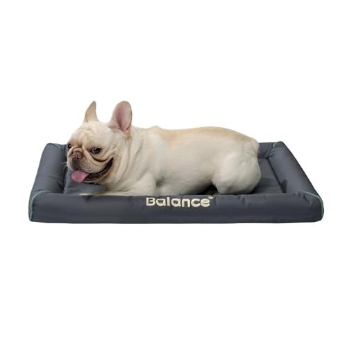 BALANCE Strapazierfähiges Oxford-Hundebett für mittelgroße Hunde, wasserdichte Hundeboxenunterlage, für den Außenbereich, abwischbar und leicht abzuspülen, 76,2 cm BALANCE Strapazierfähiges Oxford-Hundebett für mittelgroße Hunde, wasserdichte Hundeboxenunterlage, für den Außenbereich, abwischbar und leicht abzuspülen, 76,2 cm von BALANCE