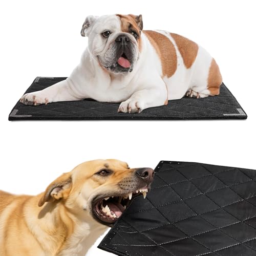 BALAPET Strapazierfähiges, kaufestes Hundebett mit Metallnieten-Ecke für große Hunde, stabile Hundehüttenunterlage für zahnende Welpen, langlebige Hundebox für mittelgroße Hundekäfige, 104,1 x 71,1 cm BALAPET Strapazierfähiges, kaufestes Hundebett mit Metallnieten-Ecke für große Hunde, stabile Hundehüttenunterlage für zahnende Welpen, langlebige Hundebox für mittelgroße Hundekäfige, 104,1 x 71,1 cm von BALAPET