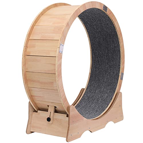 Katzenrad, Katzenlaufband, Übungsrad, niedliche Katzenmöbel, Haustierspielzeug, Katzenspielzeug, Katzenspielzeug, Gewichtsverlustgerät Katzenrad, Katzenlaufband, Übungsrad, niedliche Katzenmöbel, Haustierspielzeug, Katzenspielzeug, Katzenspielzeug, Gewichtsverlustgerät von ZYDDNH