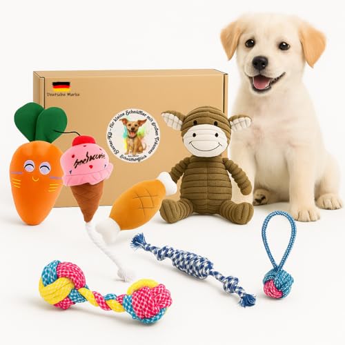 BALLONTE Welpenspielzeug Set – Hundespielzeug für kleine Hunde & Welpen – Kauspielzeug, Hundezubehör & interaktive Spielzeuge – Robust & sicher von BALLONTE