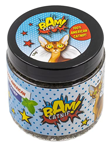 BAM! Katzenminze, 100 % amerikanisches starkes Katzenminze-Katzenspielzeug (Katzenminze, 14 g) von BAM