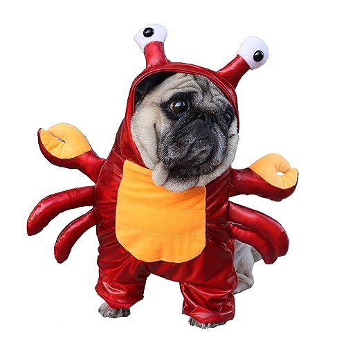BAMY Halloween Hund Krabbe Kostüm Winter Haustier Hoodie Lustige Bulldogge Bekleidung Katze Anzug Puupy Kleidung für kleine mittelgroße Hunde (Größe M (Brustumfang 32 cm) von BAMY