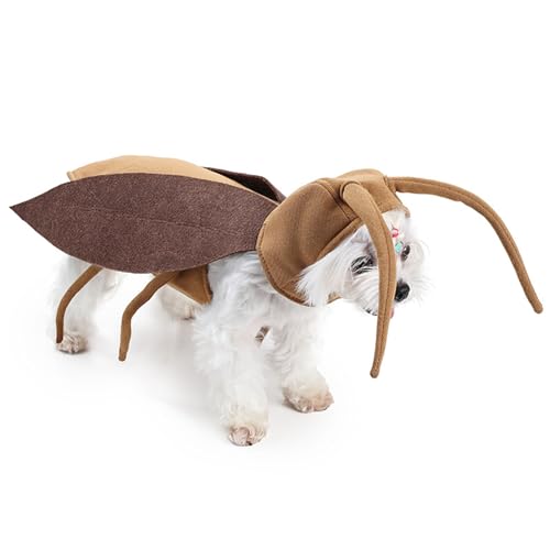BAMY Halloween-Kakerlakenkostüm und Hut, lustige Katzenkleidung mit Flügeln, kreative Kätzchenbekleidung, Cosplay-Haustier-Outfit für Katzen, kleine Hunde (Einheitsgröße, Kakerlake) von BAMY