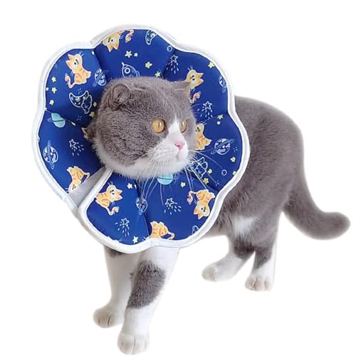 BAMY Katzen-Genesungshalsband, wasserdicht, Kegel, stoppt Lecken nach Operationen, Kätzchen, elisabethanisches Halsband für Katzen, kleine Hunde (Blau, Größe M (Halsumfang 18-21,8 cm) von BAMY