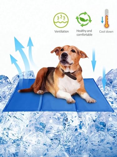 BANGHA Kühlmatte Hund,Kühlmatte für Hunde 1pc-Dog Cooling Pad Pet Cooling Pad, kein Wasser oder kühlendes ungiftiges Gel BANGHA Kühlmatte Hund,Kühlmatte für Hunde 1pc-Dog Cooling Pad Pet Cooling Pad, kein Wasser oder kühlendes ungiftiges Gel von BANGHA