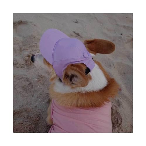 Hundemütze,Hunde Cappy Bestickte Baseballkappe for Hunde mit Namen, süße Sonnenkappe, verstellbare Sommermütze Haustiere kleine bis große(Purple,L) von BANGHA