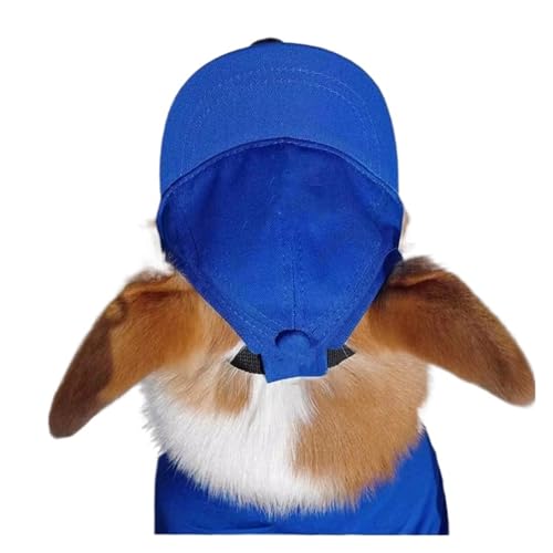 Hundemütze,Hunde Cappy Haustier-Baseballkappe, einfarbig, Hundezubehör, Haustier-Paarhut, verstellbar, Sonnenschutzhut(Blue,S) von BANGHA