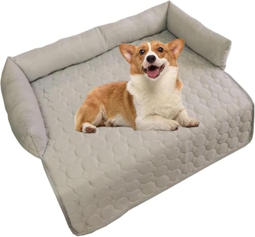 BANTASE Hundekühlmatte 2025 Verbesserte Kleine Mittelgroße Große Haustiere Selbstkühlende Ungiftige Pads Welpenkatzenbettmatte(A,70 * 70cm) von BANTASE